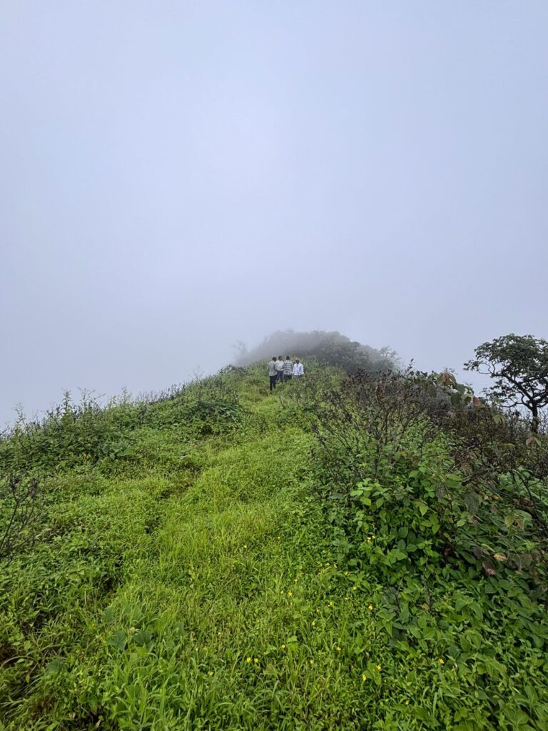 Farmhouse plots near Pune with dam view – Mayurvan Valley
