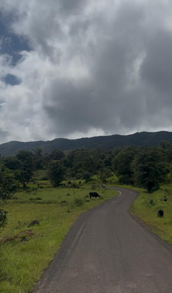 mayurvan valley phase 2
