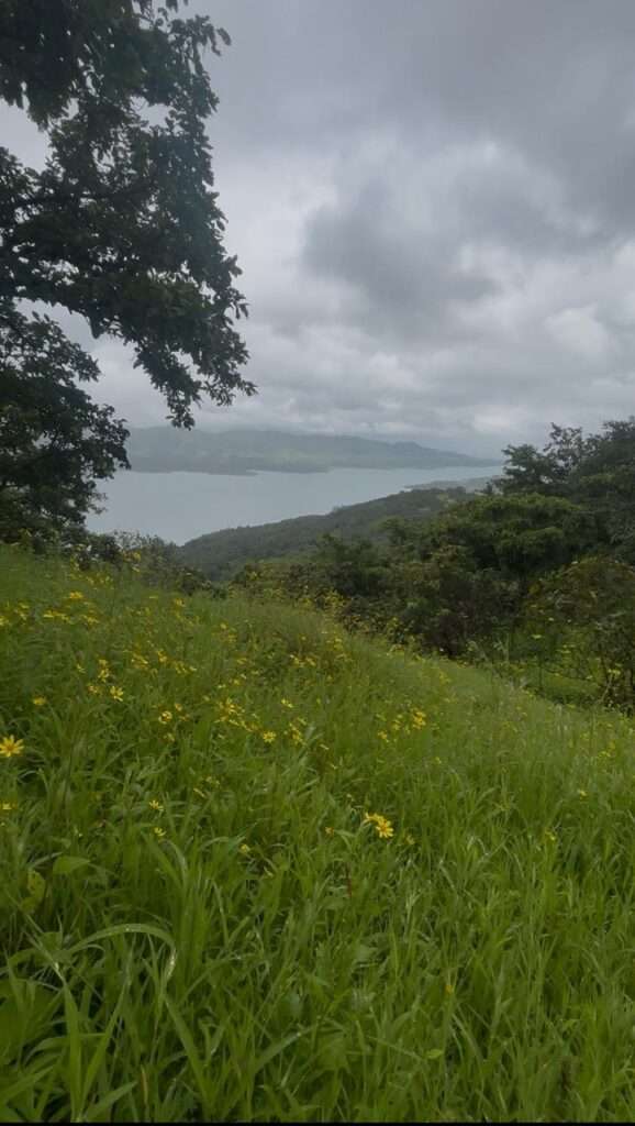 mayurvan valley phase 2