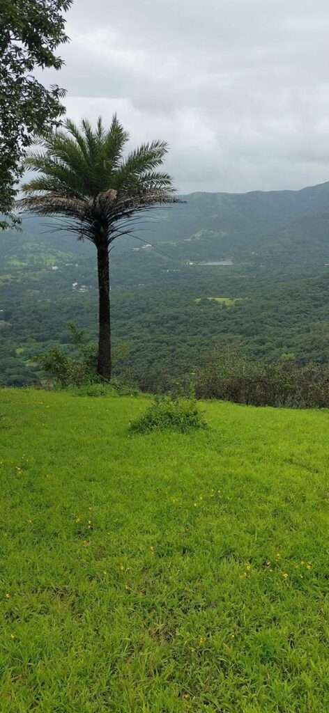 Farmhouse plots near Pune with dam view – Mayurvan Valley