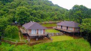 bougain villa pasure
