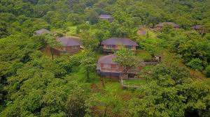 bougain villa pasure
