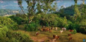 hare krishna valley